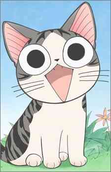 Chis Sweet Home 2016