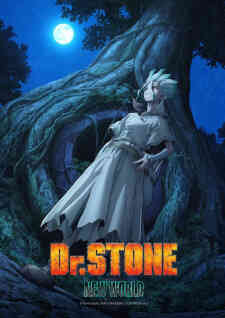 Dr Stone New World