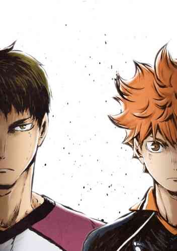 Haikyuu Karasuno Koukou Vs Shiratorizawa Gakuen Koukou
